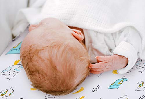 BROLEX Stretchy-Pack-n-Play-Playard-Sheets 2 Pack Portable Mini Crib Sheets,Convertible Playard Mattress Cover for Baby Boys Gilrs,Ultra Soft Jersey Knit,Arrow & Owl