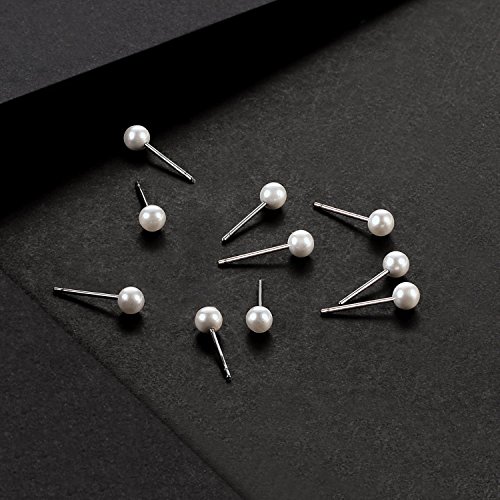 Charisma 4mm Composite Pearl Earrings Round Ball Pearls Stud Earrings Hypoallergenic 12 Pairs Imitation Pearl Earrings Set for Girls Women
