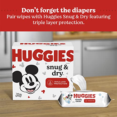 Huggies Simply Clean Unscented Baby Wipes, 9 Flip-Top Packs (576 Wipes Total)