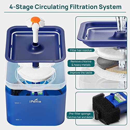 iPettie Cat Water Fountain with LED Light, 67oz/2.0L, Ultra Quiet Cat Drinking Fountain with Filter, Automatic Pet Water Fountain for Cats and Small Dogs, Blue