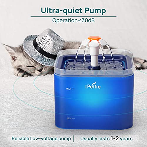 iPettie Cat Water Fountain with LED Light, 67oz/2.0L, Ultra Quiet Cat Drinking Fountain with Filter, Automatic Pet Water Fountain for Cats and Small Dogs, Blue