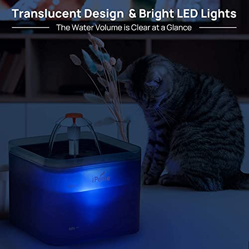 iPettie Cat Water Fountain with LED Light, 67oz/2.0L, Ultra Quiet Cat Drinking Fountain with Filter, Automatic Pet Water Fountain for Cats and Small Dogs, Blue