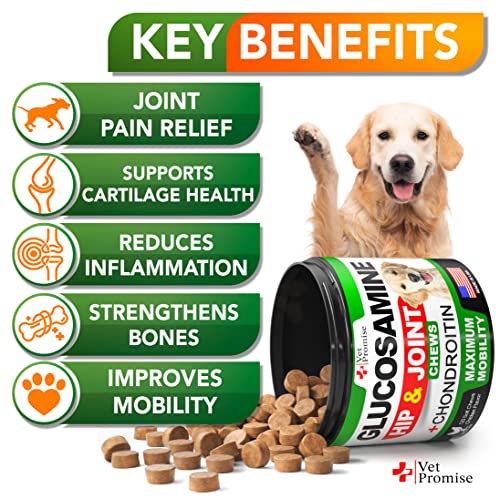 Advanced Joint Supplement for Dogs - 120 Chews