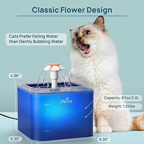 iPettie Cat Water Fountain with LED Light, 67oz/2.0L, Ultra Quiet Cat Drinking Fountain with Filter, Automatic Pet Water Fountain for Cats and Small Dogs, Blue