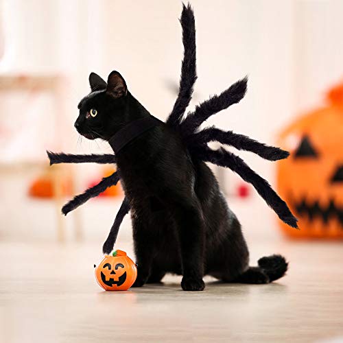 Halloween Spider Costume for Dog Cat, Halloween Pet Costume Halloween Decorations, Spider Decor Halloween Party Supply, Spider Cosplay Costumes With Adjustable Velcro for Small Medium Dogs and Cats