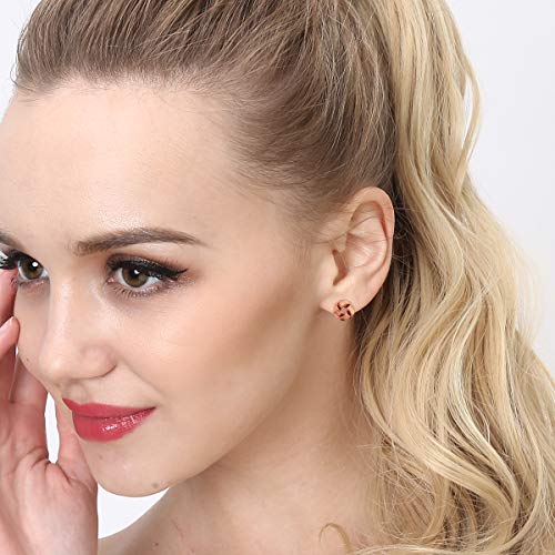 32 Pair Stainless Steel White Rose Gold Plated Cute Animal Cat Elephant Star Geometric CZ Faux Pearl Snowflakes Twise Geometric Peace Sign Symbol Small Statement Stud Earring Set for Girls Women