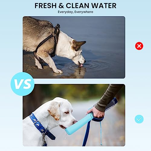 Foldable Leak Proof Portable Dog Water Bottle