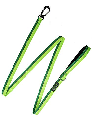 Mighty Paw Standard Dog Leash | 6 Foot Dog Lead with Soft Padded Handle. Bonus D-Ring and Strong Carabiner Clip for Pullers. High Visibility Weatherproof Pet Leash with Reflective Stitching (Green)