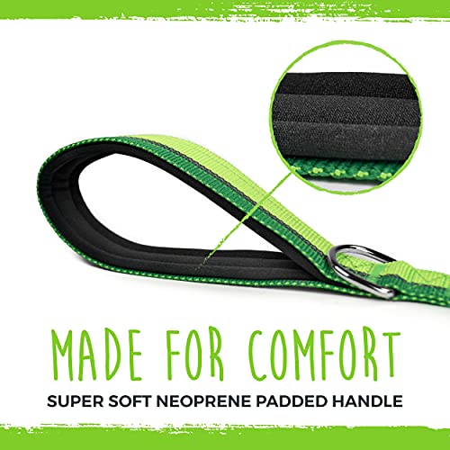 Mighty Paw Standard Dog Leash | 6 Foot Dog Lead with Soft Padded Handle. Bonus D-Ring and Strong Carabiner Clip for Pullers. High Visibility Weatherproof Pet Leash with Reflective Stitching (Green)