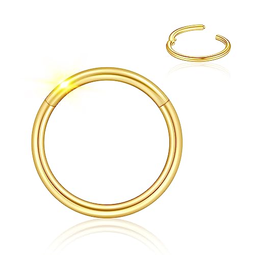 Ldurian 316L Surgical Stainless Steel Hypoallergenic Hinged Nose Ring Hoop 18/20 Gauge, Diameter 6mm, 7mm, 8mm, 9mm with Silver/Gold/Rose Gold Nose Piercing Jewelry Hoop for Women/Men with Retainer