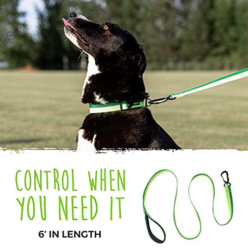 Mighty Paw Standard Dog Leash | 6 Foot Dog Lead with Soft Padded Handle. Bonus D-Ring and Strong Carabiner Clip for Pullers. High Visibility Weatherproof Pet Leash with Reflective Stitching (Green)