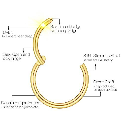 Ldurian 316L Surgical Stainless Steel Hypoallergenic Hinged Nose Ring Hoop 18/20 Gauge, Diameter 6mm, 7mm, 8mm, 9mm with Silver/Gold/Rose Gold Nose Piercing Jewelry Hoop for Women/Men with Retainer