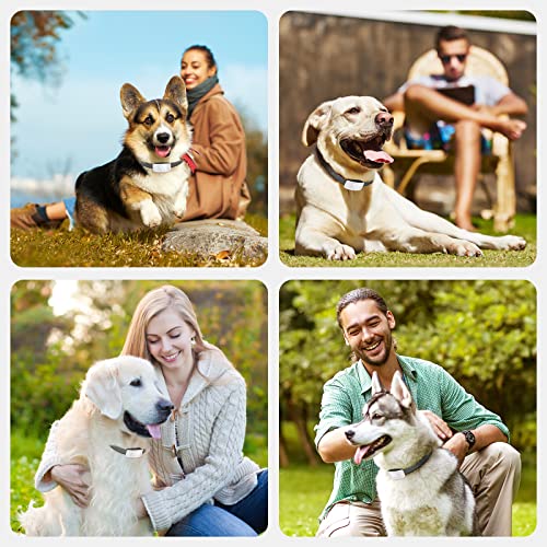 NBJU Bark Collar for Dogs,Rechargeable Anti Barking Training Collar with 7 Adjustable Sensitivity and Intensity Beep Vibration for Small Medium Large Dogs (White)