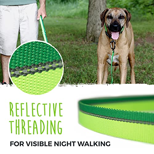 Mighty Paw Standard Dog Leash | 6 Foot Dog Lead with Soft Padded Handle. Bonus D-Ring and Strong Carabiner Clip for Pullers. High Visibility Weatherproof Pet Leash with Reflective Stitching (Green)