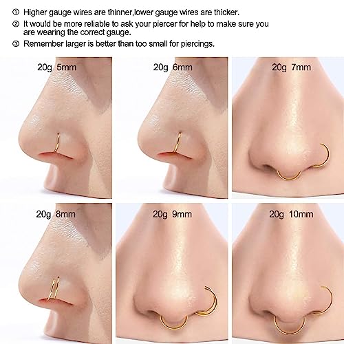 Ldurian 316L Surgical Stainless Steel Hypoallergenic Hinged Nose Ring Hoop 18/20 Gauge, Diameter 6mm, 7mm, 8mm, 9mm with Silver/Gold/Rose Gold Nose Piercing Jewelry Hoop for Women/Men with Retainer