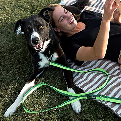 Mighty Paw Standard Dog Leash | 6 Foot Dog Lead with Soft Padded Handle. Bonus D-Ring and Strong Carabiner Clip for Pullers. High Visibility Weatherproof Pet Leash with Reflective Stitching (Green)