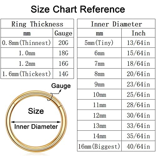Ldurian 316L Surgical Stainless Steel Hypoallergenic Hinged Nose Ring Hoop 18/20 Gauge, Diameter 6mm, 7mm, 8mm, 9mm with Silver/Gold/Rose Gold Nose Piercing Jewelry Hoop for Women/Men with Retainer