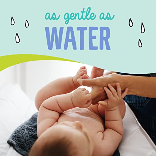 Seventh Generation Baby Wipes, Free & Clear Unscented and Sensitive, Gentle as Water, with Flip Top Dispenser, 504 count (Packaging May Vary)