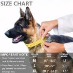 Tactical Dog Collar - KCUCOP Military Dog Collar with Mama Says I m Special Patch Thick with Handle K9 Collar Tactipup Dog Collars Adjustable Heavy Duty Metal Buckle for M,L,XL Dogs(Black,M)