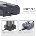 2-Pack V4 Ring Battery and Charger Set