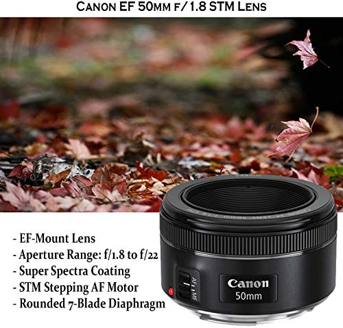 Canon EOS 90D DSLR Camera w/ 18-55mm Lens Bundle + Canon 75-300mm & Canon 50mm f/1.8 Lens + 500mm Preset Lens + Camera Case + 96GB Memory + Battery Grip + Speedlight Flash + Commander Optics Bundle