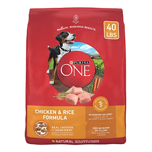 Purina ONE Natural Dry Dog Food, SmartBlend Chicken & Rice Formula - 40 lb. Bag