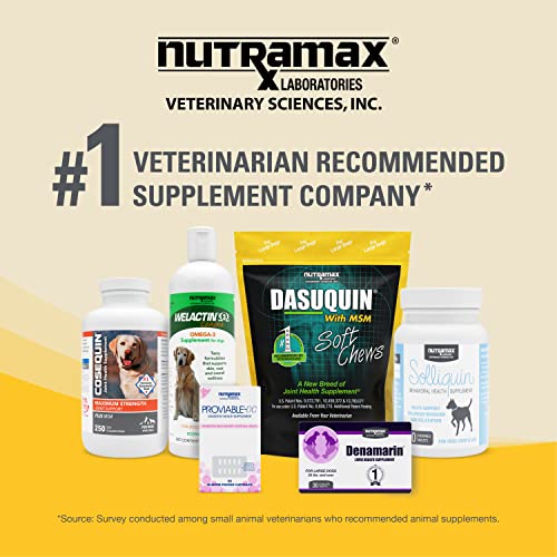 Nutramax Dasuquin with MSM Joint Health Supplement for Small to Medium Dogs - With Glucosamine, MSM, Chondroitin, ASU, Boswellia Serrata Extract, and Green Tea Extract, 84 Soft Chews