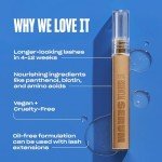 Babe Lash Essential Serum for Longer, Fuller Lashes