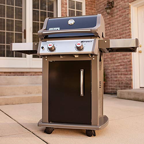 Weber E-210 Gas Grill | Propane, 2-Burner | Black