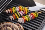 Weber E-210 Gas Grill | Propane, 2-Burner | Black