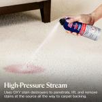 Bissell Professional Power Shot Oxy Stain Remover 14 oz