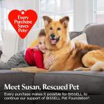 Bissell Professional Power Shot Oxy Stain Remover 14 oz