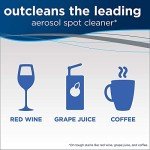 Bissell Professional Power Shot Oxy Stain Remover 14 oz