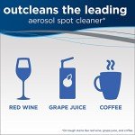 Bissell Professional Oxy Carpet Spot Stain Remover