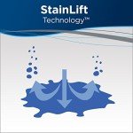 Bissell Professional Oxy Carpet Spot Stain Remover