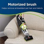 Bissell Pet Hair Eraser Cordless Handheld Vacuum