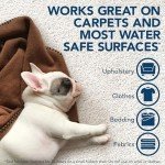 Bissell Extreme Pet Stain and Odor Remover 1 Gallon
