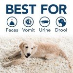 Bissell Extreme Pet Stain and Odor Remover 1 Gallon