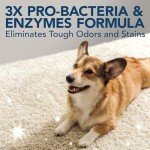Bissell Extreme Pet Stain and Odor Remover 1 Gallon