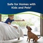 Bissell Pet Stain & Odor Portable Machine Formula