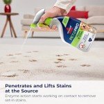 Bissell Pet Pro Stain & Odor Eliminator, 2 Pack