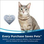 Bissell 2-Pack Pet Stain & Odor Remover
