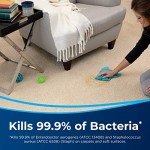 Bissell 2-Pack Pet Stain & Odor Remover