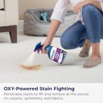 Bissell Woolite® Pet Stain & Odor Remover, 2-Pack