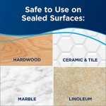 Bissell Powerfresh Deluxe Steam Mop for Floors