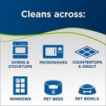 Bissell PowerFresh Pet Steam Mop and Cleaner