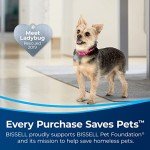 BISSELL Pet Stain Eraser Duo Cordless Cleaner