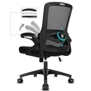 Ergonomic Desk Chair with Flip-up Armrests