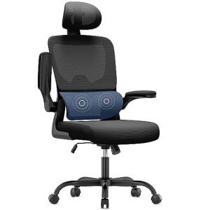 Ergonomic Office Chair with Lumbar Support & Armrests
