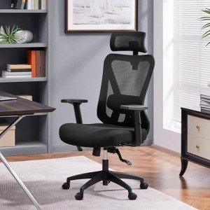 Ergonomic High Back Desk Chair with Lumbar Support